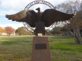 Kalani Kirk Hausman - College Station Texas - USA - stone 4435